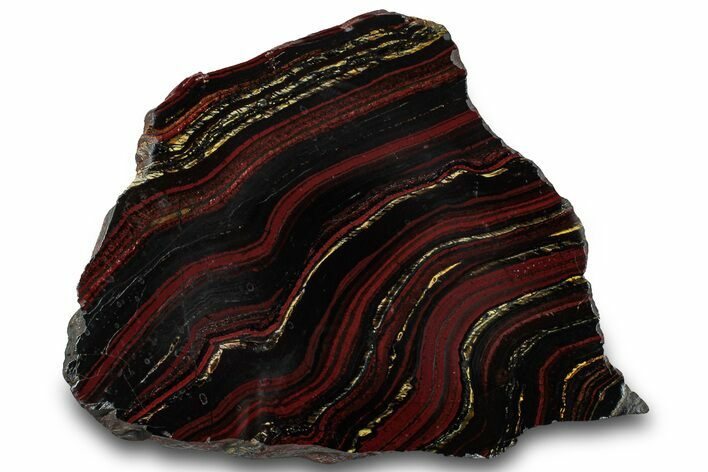 Polished Tiger Iron Stromatolite Slab - Billion Years #319424
